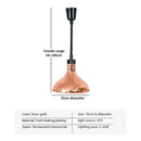 Industrial copper electric telescopic food heat pendant light kitchen