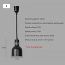 Industrial matte black electric food heat preservation lamp kitchen