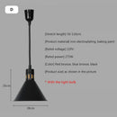 Industrial matte black electric food heat preservation lamp kitchen