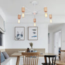 Industrial rod iron wood ceiling lamp living room globe chandelier