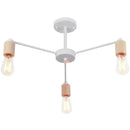 Industrial rod iron wood ceiling lamp living room globe chandelier