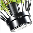 Industrial style planting black iron pendant lamp dining room