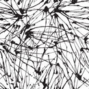 Ink Brush Strokes Wallpaper