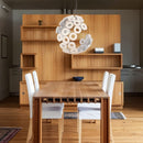 Ionis Pendant Light