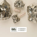 Iron Builder with Vitamins B & C Absorption Boosters