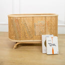 Isle Wicker Plant Stand