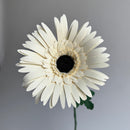 Gerber Daisy Single Stem | Handcrafted Paper Flower