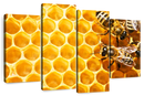 Honey Bee Hive Wall Art