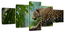Sneaky Jaguar Wall Art