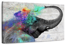 Colorful Elephant Splash Wall Art