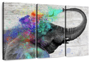 Colorful Elephant Splash Wall Art