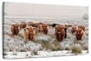 Winter Highland Cows Wall Art