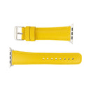 Jackson Leather Bands for Apple Watch 9, Ultra 2 & SE