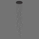 Jaivyn Chandelier
