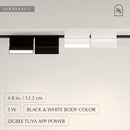 Janae Track Light System