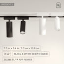 Janae Track Light System