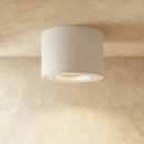 Jannis Downlight