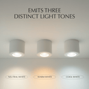 Jannis Downlight - Open Box
