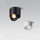 Jannis Downlight - Open Box