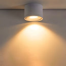 Jannis Downlight - Open Box