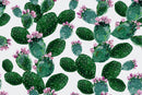 Fashionable Green Cactus Wallpaper