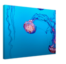 Jellyfish Print Metal Wall Art – Ocean Marine Life Coastal Nature Decor