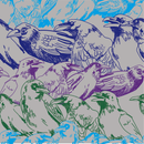 Birds Pattern Wallpaper