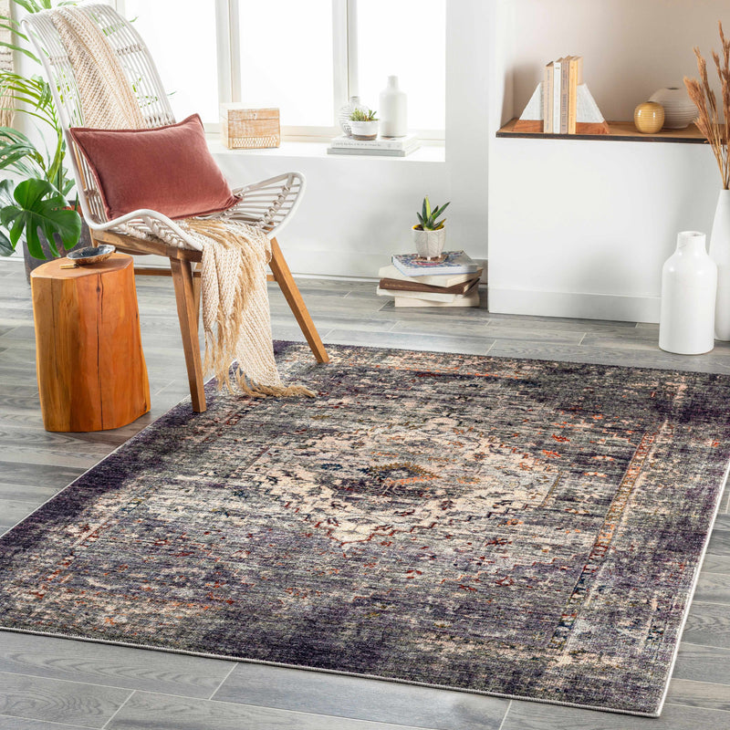 Basiad Washable Area Rug