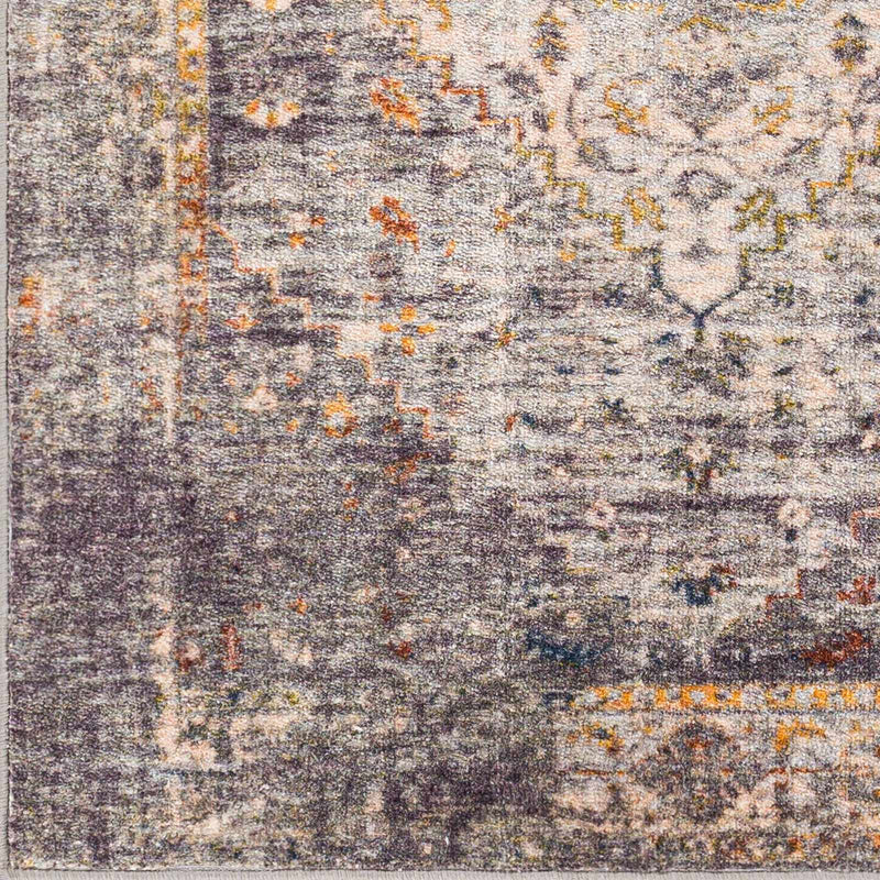 Basiad Washable Area Rug