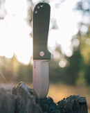 WESN: The Allman