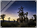 Joshua Tree Print Metal Wall Art – California Desert Southwest Scenic Decor