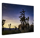 Joshua Tree Print Metal Wall Art – California Desert Southwest Scenic Decor