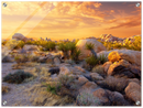 Joshua Tree Sunset - Print