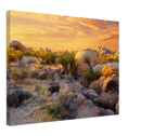 Joshua Tree Sunset - Print