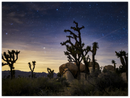 Joshua Tree Print Metal Wall Art – California Desert Southwest Scenic Decor