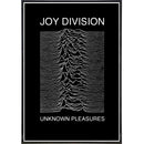 Joy Division Show Poster Print