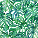 Fashionable Green Monstera Wallpaper Smart