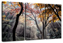 Forest Sun Rays Wall Art