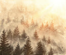 Forest Landscape Wallpaper