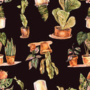 Plants in Pots Wallpaper