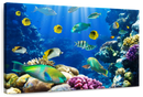 Underwater Sea Creatures Wall Art