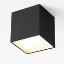 Kaiden Downlight