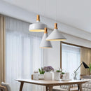 Kane Pendant Light