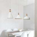 Kane Pendant Light