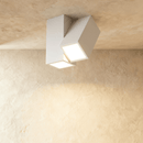Kashaf Ceiling Light
