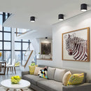 Kelis Downlight