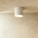 Kelis Downlight