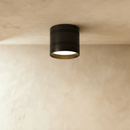 Kelis Downlight