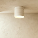 Kelis Downlight