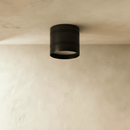 Kelis Downlight